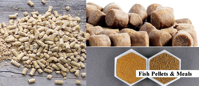 buy your catfish fish feed, pellets and meals in nigeria and africa