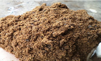 buy palm kernel cake in nigeria