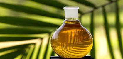 find peppermint oil in nigeria and africa