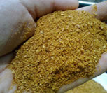 buy poultry meal in nigeria