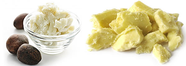 find and buy shea butter fat in nigeria